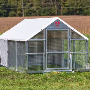 The Homesteader Chicken Coop (6x10)